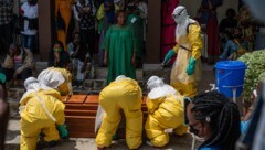Ein Ebola-Opfer im Kongo wird beigesetzt.
