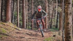 Immer mehr Österreicher nutzten die Berge und Wälder zum Radfahren – weshalb jetzt eine neue ...
