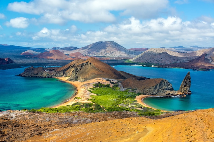 Die Galapagos-Inseln sind bekannt für ihre einzigartige Artenvielfalt.