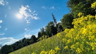 „Das Wetter am Siebenschläfertag noch sieben Wochen bleiben mag“, heißt es. 