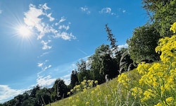 „Das Wetter am Siebenschläfertag noch sieben Wochen bleiben mag“, heißt es. 