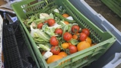 Gerade Obst und Gemüse landet oft im Müll, obwohl man es eigentlich noch verwerten könnte. 