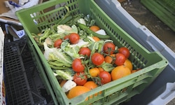 Gerade Obst und Gemüse landet oft im Müll, obwohl man es eigentlich noch verwerten könnte. 