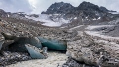 Der schneearme Winter und vermutlich heiße Sommer könnte zu einem Kahlschlag unter den kleinen ...