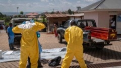 Kampf gegen den Ebola-Ausbruch in Zentralafrika