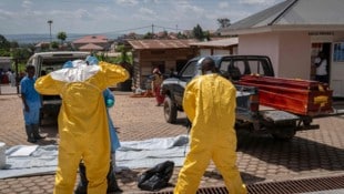 Kampf gegen den Ebola-Ausbruch in Zentralafrika