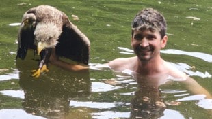 Florian Richter rettete den verletzten Seeadler.
