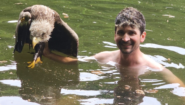Florian Richter rettete den verletzten Seeadler.