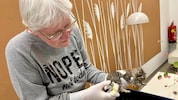 Martha Schober kümmert sich im Tierheim Krems liebevoll um den Katzennachwuchs. Doch die ...