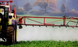 Vieles spricht laut Experten für einen landwirtschaftlichen Einfluss.