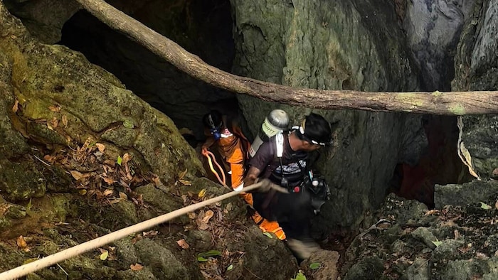 Ein australischer Höhlentaucher hat womöglich einen neuen Zugang zu dem Teil der Höhle gefunden, ...