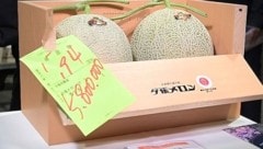 Diese Melonen haben einen Rekordpreis erzielt.