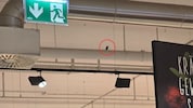 Ein kleiner Spatz lebt seit mehreren Monaten in einer Interspar Filiale. Der Weg in die Freiheit ...