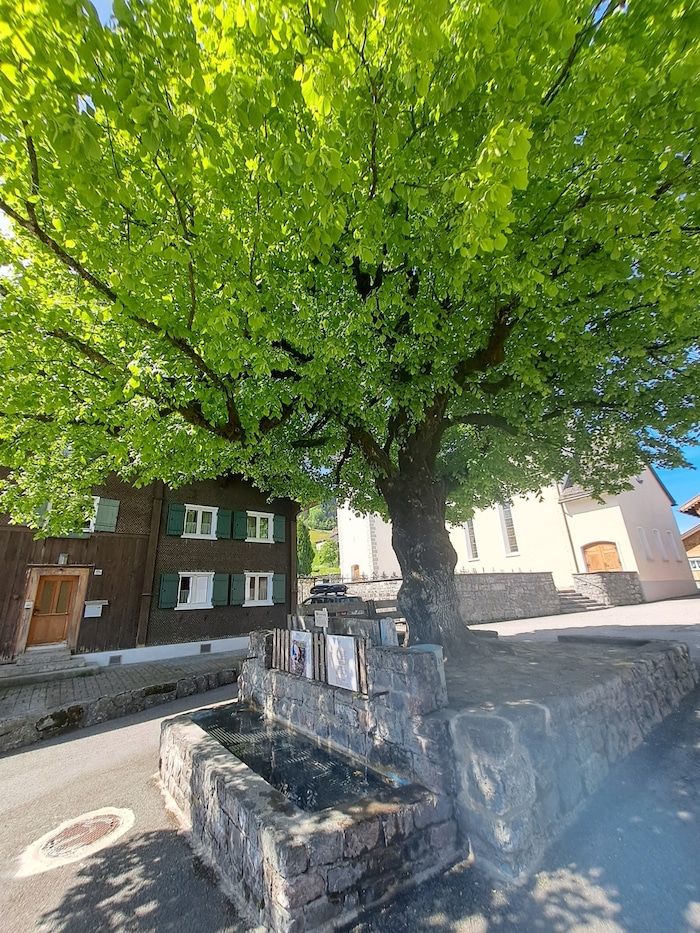 Die alte Dorflinde und der Kneipp-Brunnen in Raggal.