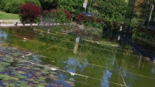 Vor einem halben Jahr wurde die Wasserstelle gereinigt. Um eine weitere Verschmutzung durch ...