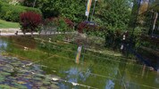 Vor einem halben Jahr wurde die Wasserstelle gereinigt. Um eine weitere Verschmutzung durch ...