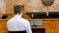 Zwölf Jahre Haft fasste der Anführer (24) der Gruppe am Freitag im Salzburger Landesgericht ...