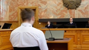 Zwölf Jahre Haft fasste der Anführer (24) der Gruppe am Freitag im Salzburger Landesgericht ...