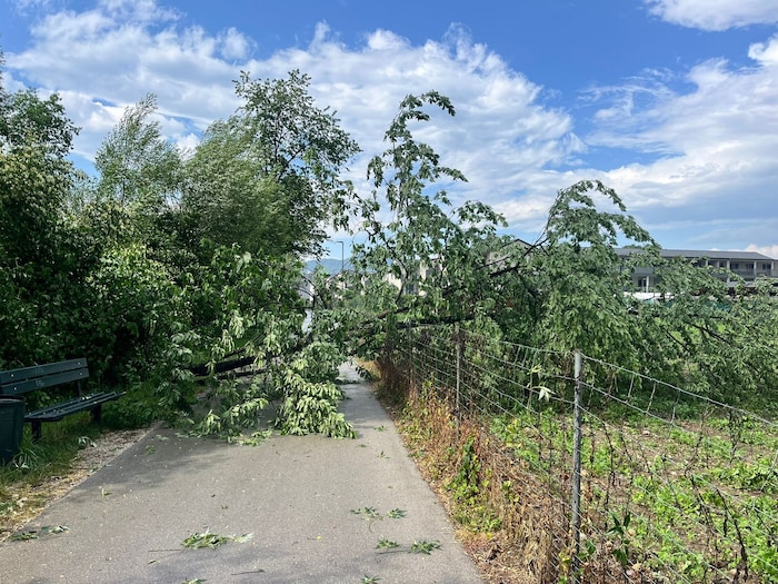Radweg bei Feschnig.