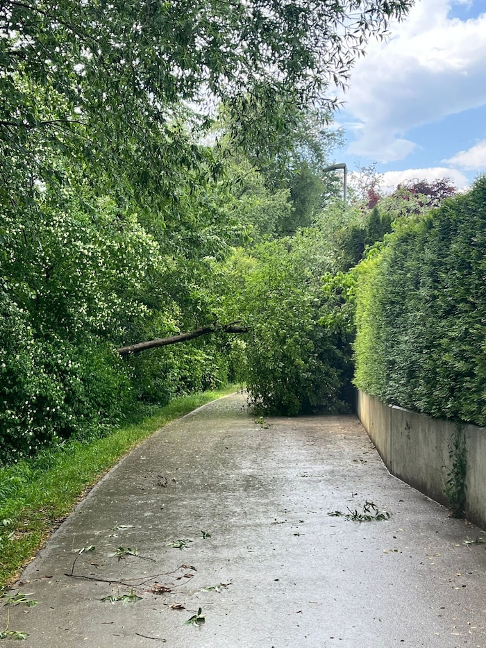 Am Radweg entlang der Glan hinterließ das Unwetter Spuren.