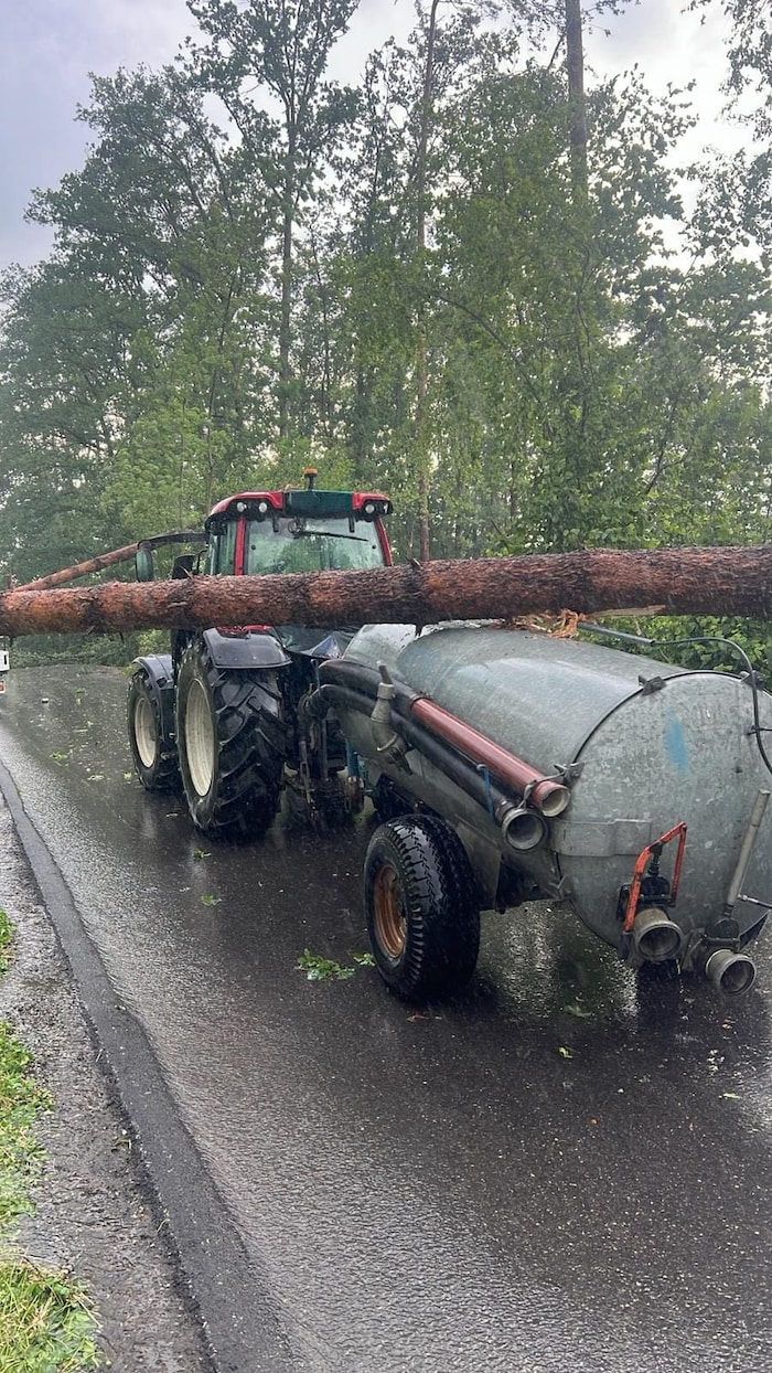 Die Bäume werden von den Straßen geräumt.
