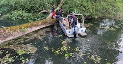 Die Berufsfeuerwehr Klagenfurt bei der Bergung eines rund 70 Jahre alten Baumes. 