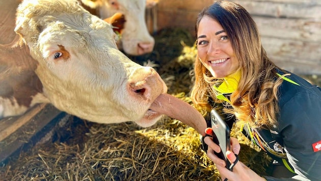 Bäuerin Melanie kümmert sich täglich um ihre Ochsen. Ihre Follower nimmt sie per Handy mit und ...
