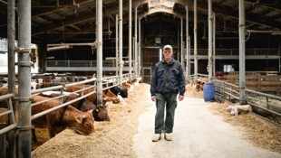 Landwirt Roland Sch. wurden 66 Schafe abgenommen