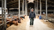 Landwirt Roland Sch. wurden 66 Schafe abgenommen