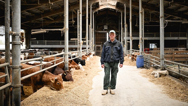 Farmer Roland Sch. had 66 sheep seized