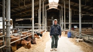 Am Tag der Schafabnahme waren noch mehr als 100 Rinder im Stall von Roland Sch. – jetzt ist er ...