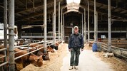 Am Tag der Schafabnahme waren noch mehr als 100 Rinder im Stall von Roland Sch. – jetzt ist er ...
