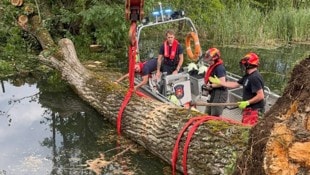Für die Beseitigung der 70-jährigen Pappel mussten die Einsatzkräfte der Berufsfeuerwehr ...