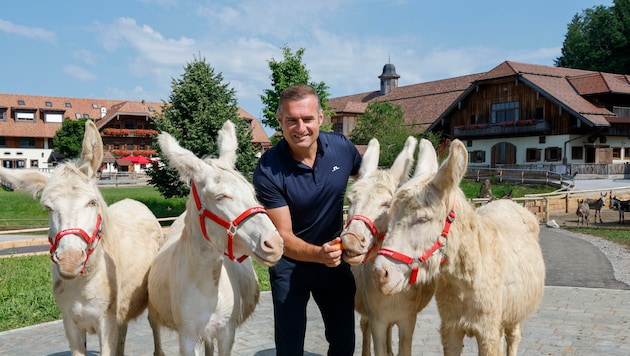 Dieter Ehrengruber lenkt die Geschicke der Tierschutz-Organisation.