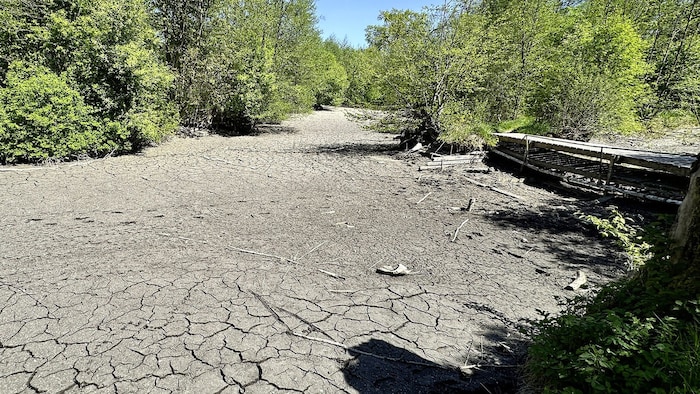 Der ausgetrocknete Kühbach in Mattighofen (Oberösterreich)