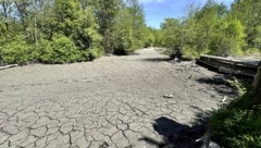 Die Grundwasserstände sinken weiter und haben teils schon Rekord-Tiefstände erreicht ...