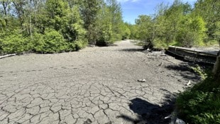 Die Grundwasserstände sinken weiter und haben teils schon Rekord-Tiefstände erreicht ...