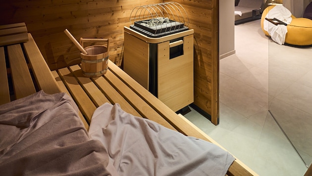 The convicted sex offender is alleged to have secretly filmed children and adults in the sauna ...