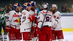 Zwei Eisbullen kehren Salzburg den Rücken.
