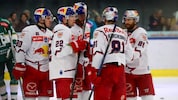 Zwei Eisbullen kehren Salzburg den Rücken.