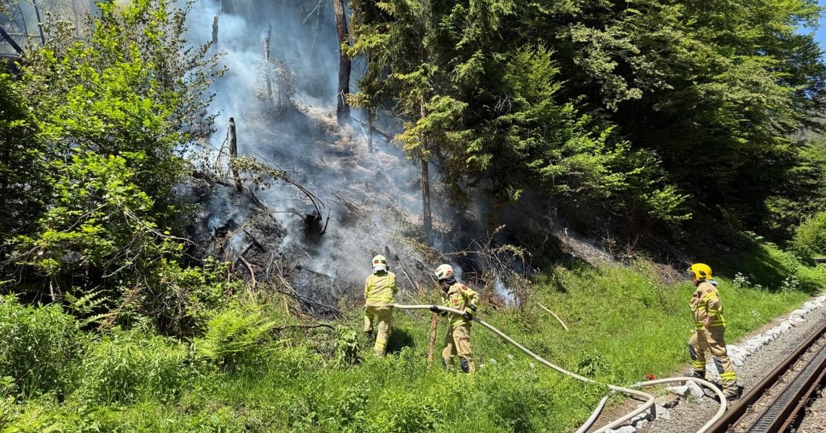 29. Mai - Waldbrand oberhalb von Bahntrasse ausgebrochen