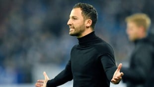 Domenico Tedesco