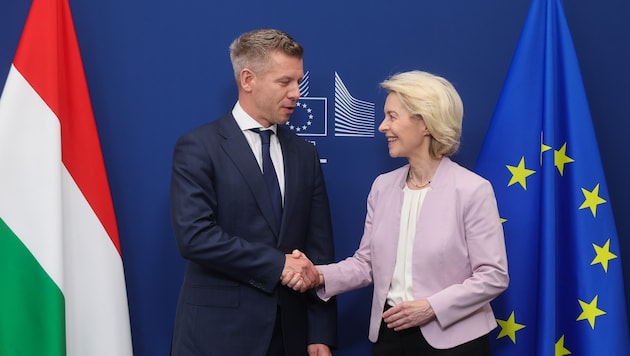 EU-Kommissionspräsidentin Ursula von der Leyen ist mit den bisherigen Reformschritten von ...