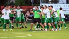 Die Donau kürte sich mit einem 2:0 über Spittal zum Meister.