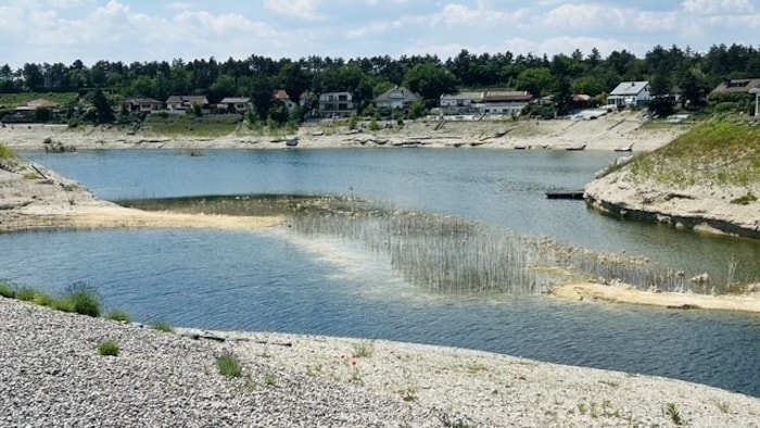 Der Föhrensee liefert an manchen Stellen schon ein sehr trauriges Bild.