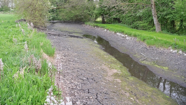 Der Kühbach bei Mattighofen – wo normalerweise Wasser fließt, ist jetzt trockener Schlamm. Der ...