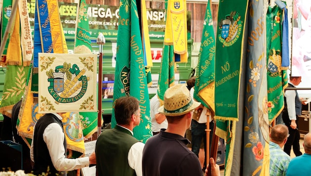 Zum niederösterreichischen Bauerntag gab es am Messegelände in Wieselburg auch einen Festzug.