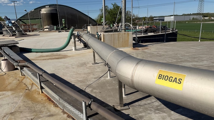 Das Biogas wird auf dem landwirtschaftlichen Betrieb erzeugt, Netz Burgenland übernimmt die ...