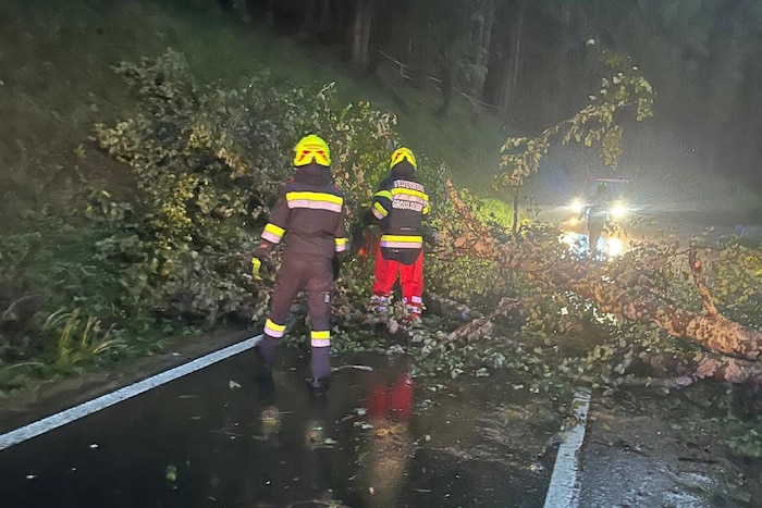 Mehrere Bäume wurden von den Unwettern entwurzelt – sie blockierten die Straßen.
