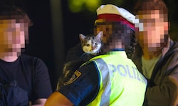 Die Katze war sichtlich dankbar über ihre Rettung